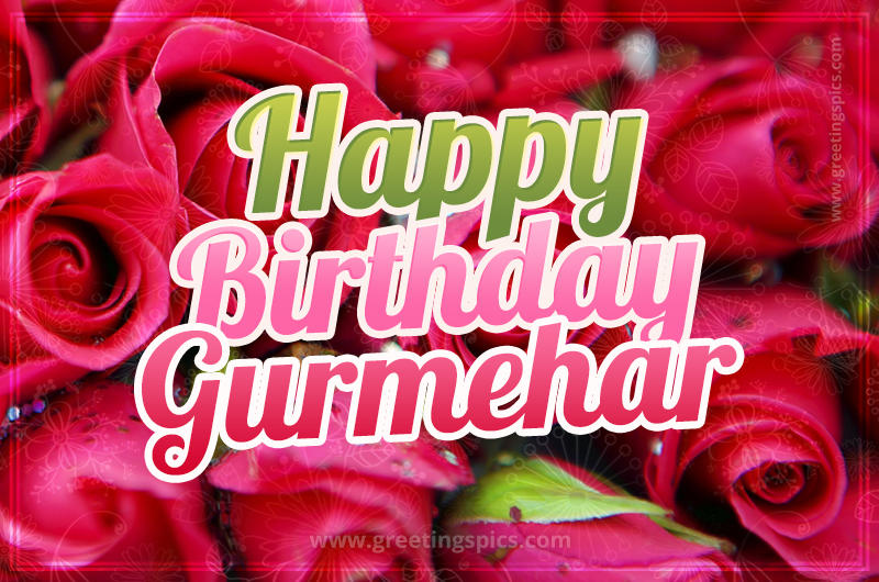 Happy Birthday Gurmehar beautiful Image with red roses