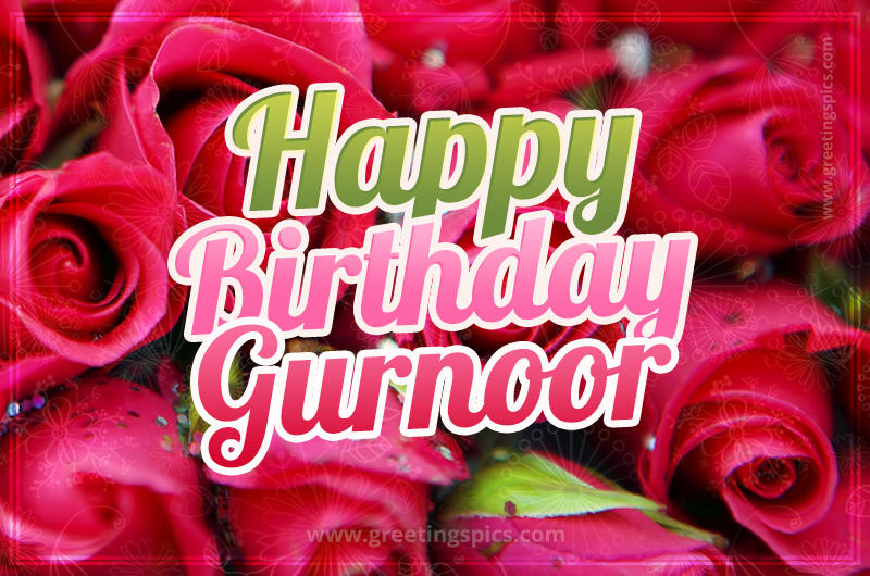 Happy Birthday Gurnoor beautiful Image with red roses