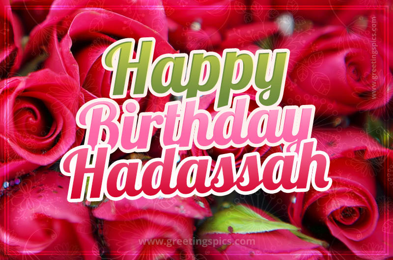 Happy Birthday Hadassah beautiful Image with red roses