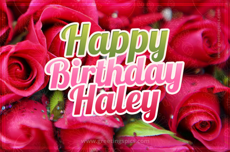 Happy Birthday Haley beautiful Image with red roses