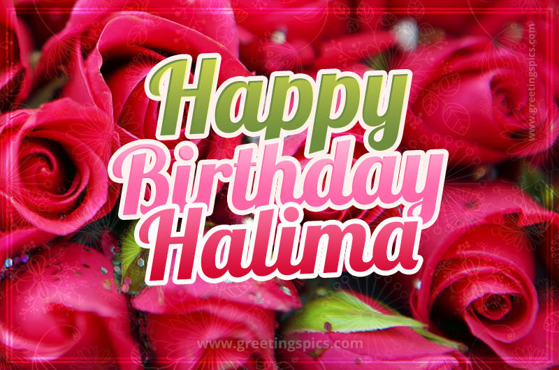 Happy Birthday Halima beautiful Image with red roses