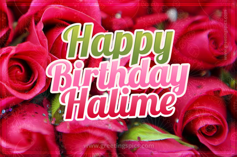 Happy Birthday Halime beautiful Image with red roses