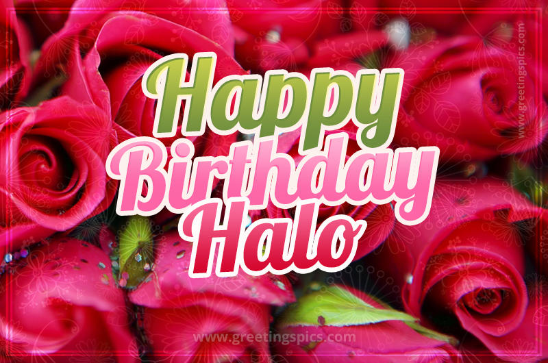 Happy Birthday Halo beautiful Image with red roses