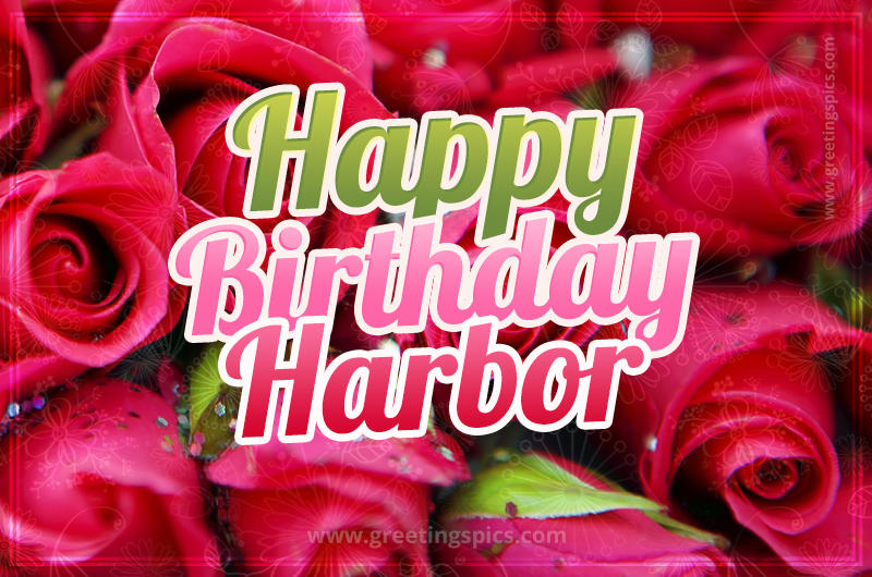 Happy Birthday Harbor beautiful Image with red roses