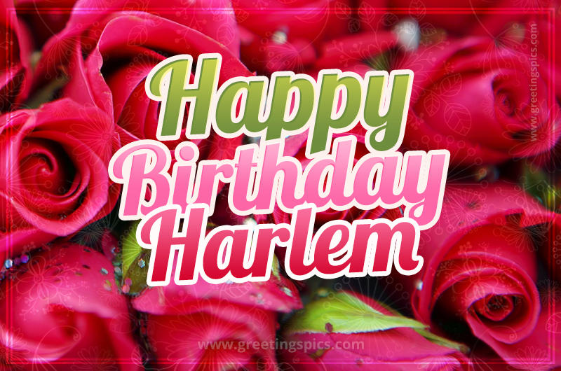 Happy Birthday Harlem beautiful Image with red roses