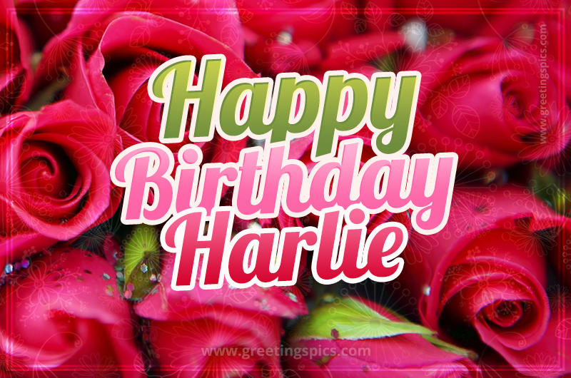 Happy Birthday Harlie beautiful Image with red roses