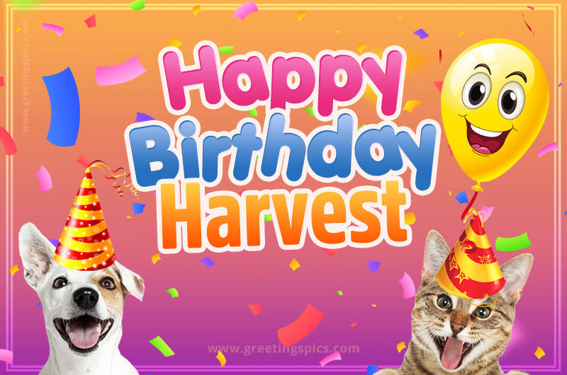 Happy Birthday Harvest Funny Image with cat and dog