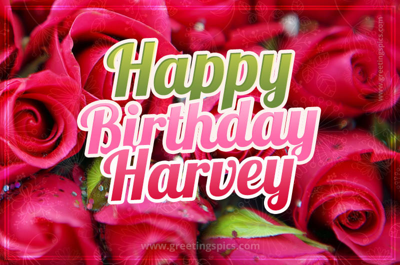 Happy Birthday Harvey beautiful Image with red roses