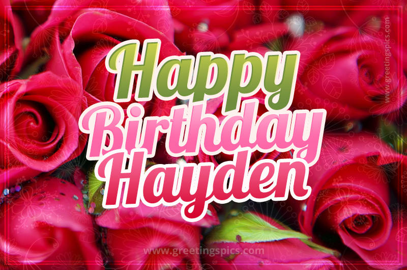 Happy Birthday Hayden beautiful Image with red roses