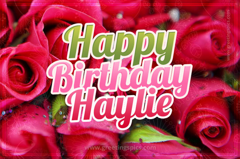 Happy Birthday Haylie beautiful Image with red roses