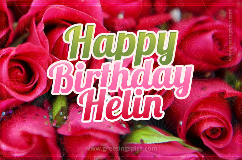 Happy Birthday Helin beautiful Image with red roses