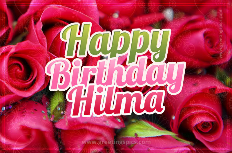 Happy Birthday Hilma beautiful Image with red roses