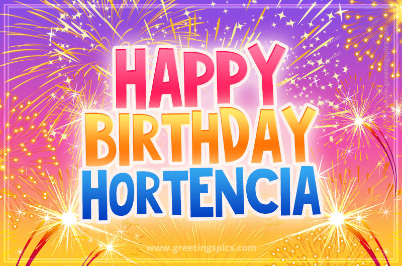 Happy Birthday Hortencia Picture with fireworks