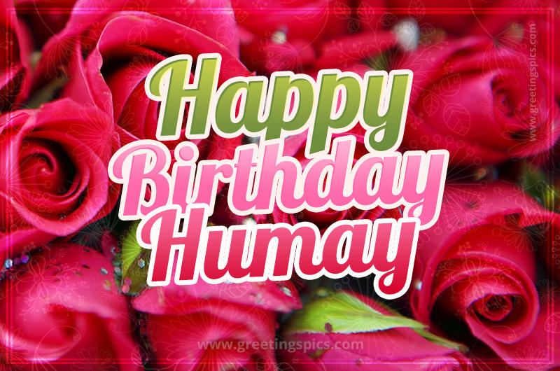 Happy Birthday Humay beautiful Image with red roses