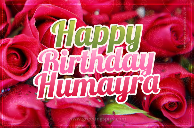 Happy Birthday Humayra beautiful Image with red roses