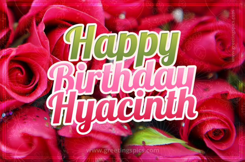 Happy Birthday Hyacinth beautiful Image with red roses