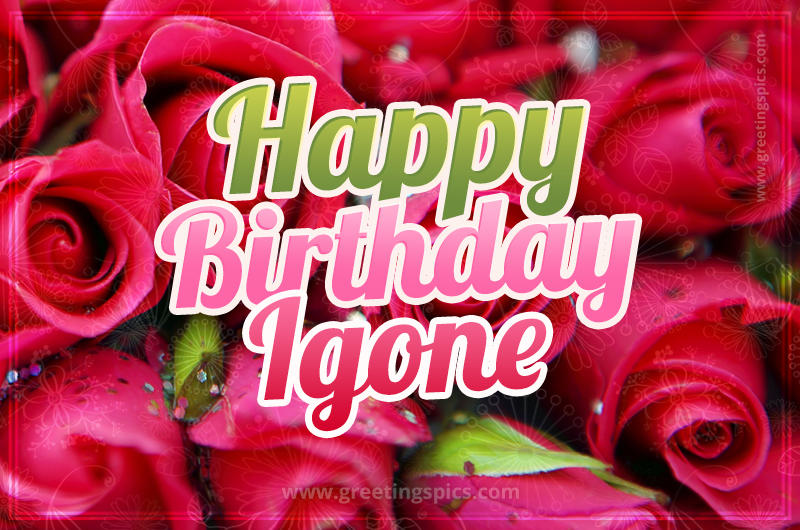 Happy Birthday Igone beautiful Image with red roses