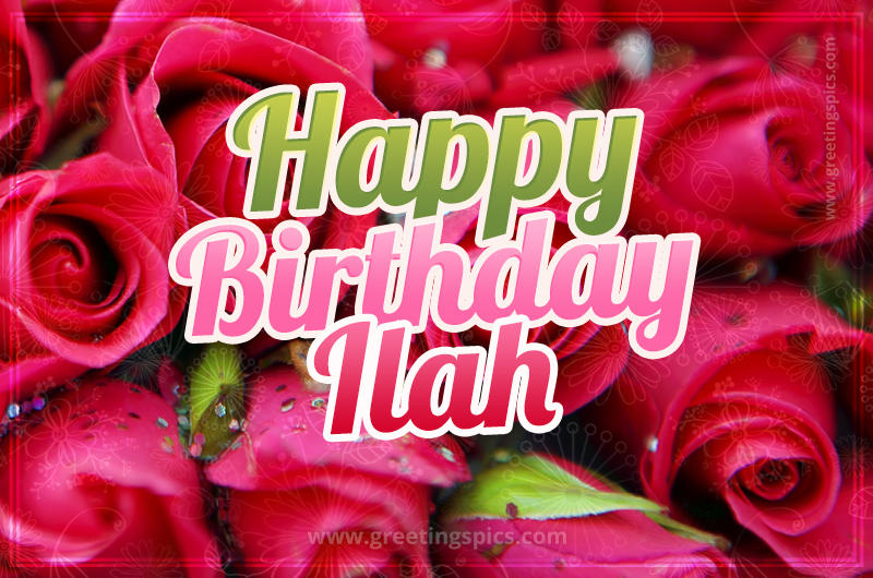 Happy Birthday Ilah beautiful Image with red roses