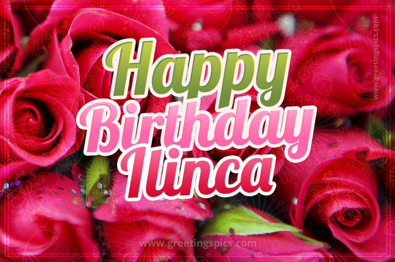 Happy Birthday Ilinca beautiful Image with red roses