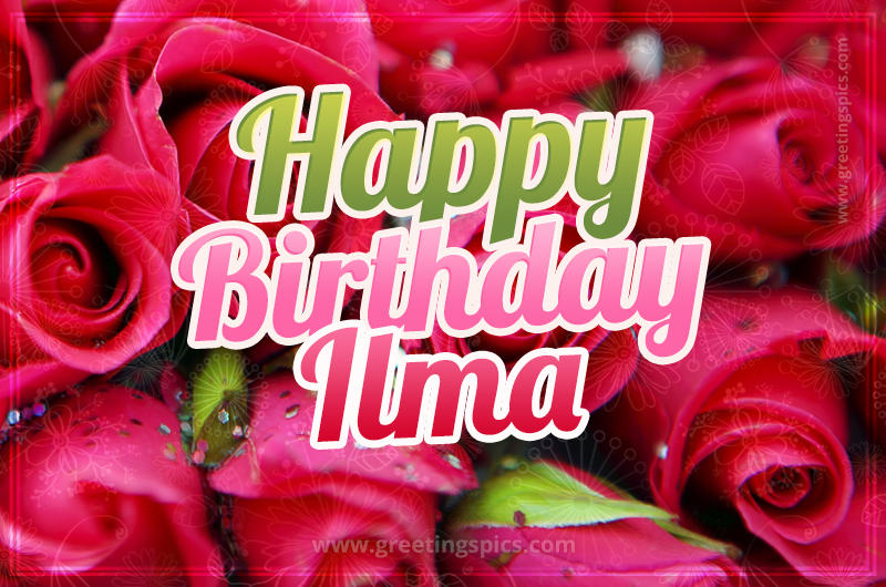 Happy Birthday Ilma beautiful Image with red roses