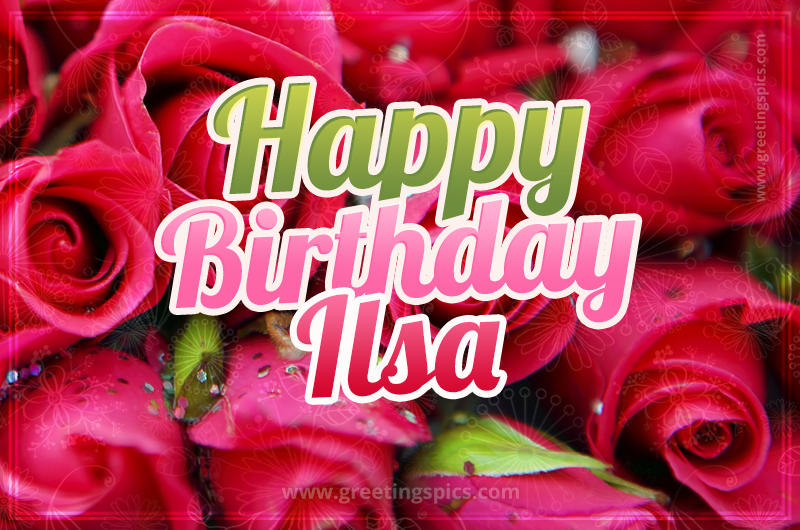 Happy Birthday Ilsa beautiful Image with red roses