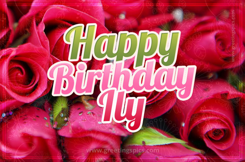 Happy Birthday Ily beautiful Image with red roses