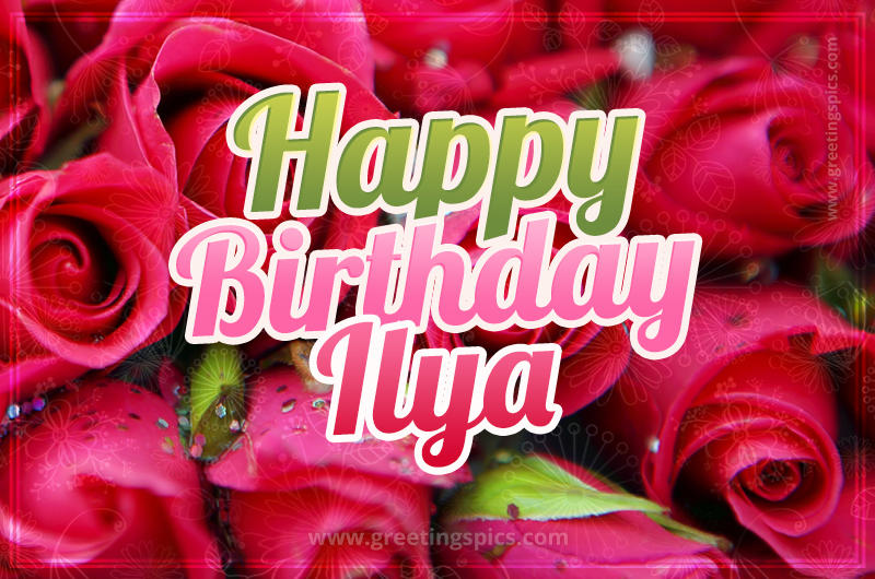 Happy Birthday Ilya beautiful Image with red roses