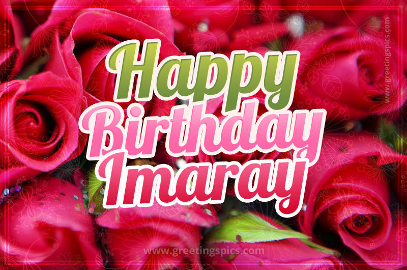 Happy Birthday Imaray beautiful Image with red roses