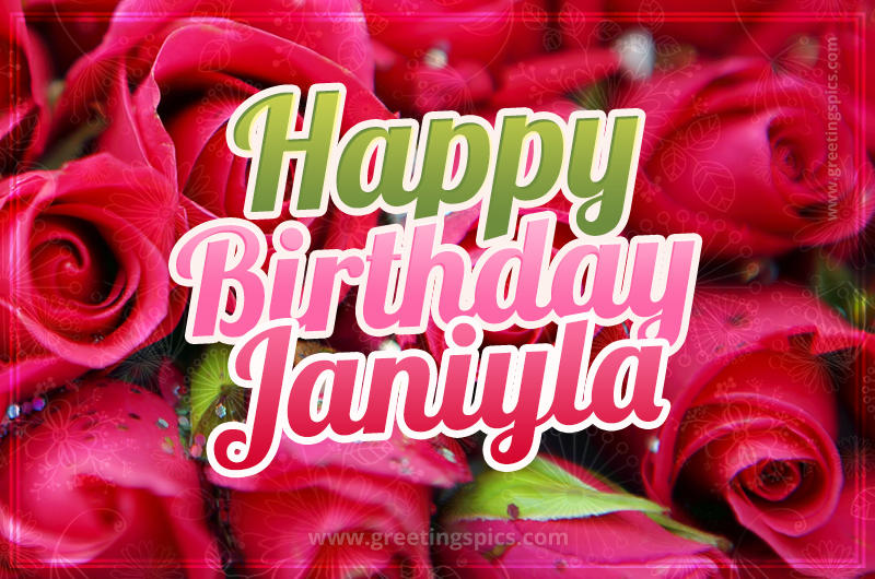 Happy Birthday Janiyla beautiful Image with red roses