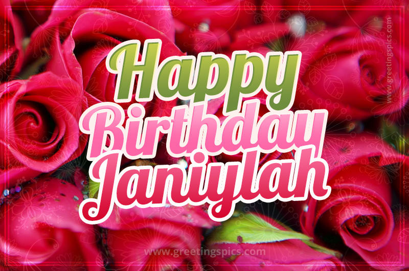 Happy Birthday Janiylah beautiful Image with red roses