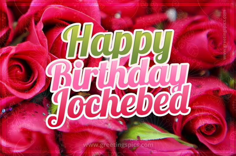 Happy Birthday Jochebed beautiful Image with red roses