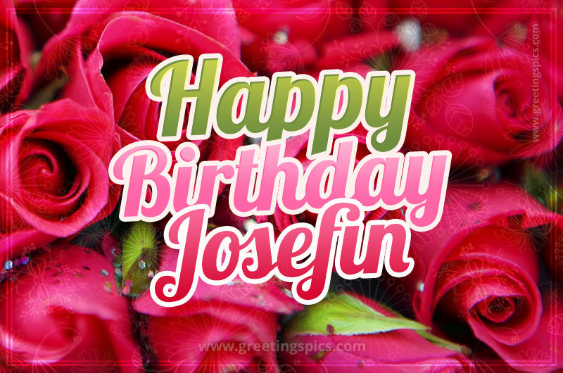 Happy Birthday Josefin beautiful Image with red roses