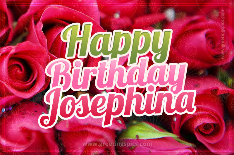 Happy Birthday Josephina beautiful Image with red roses