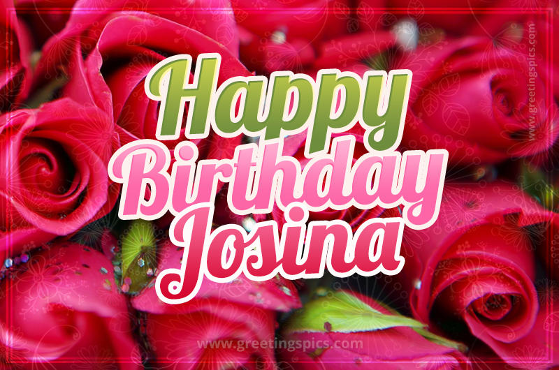 Happy Birthday Josina beautiful Image with red roses