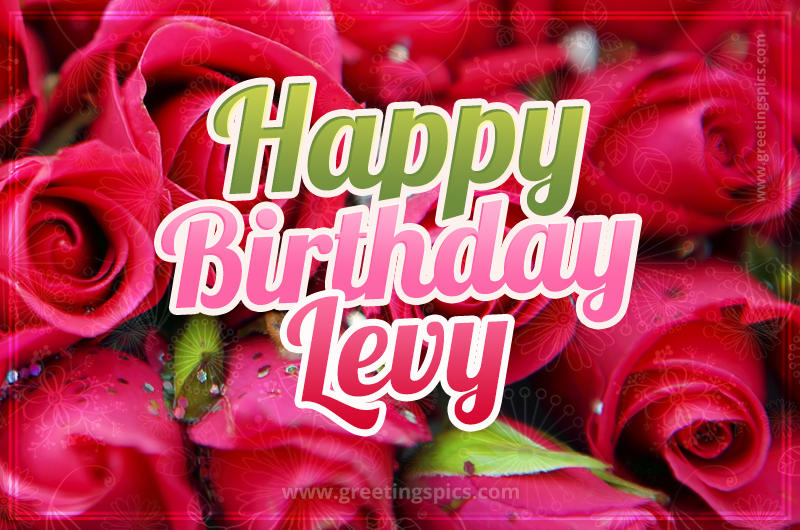 Happy Birthday Levy beautiful Image with red roses