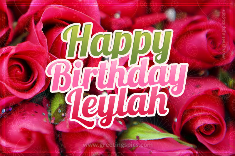 Happy Birthday Leylah beautiful Image with red roses