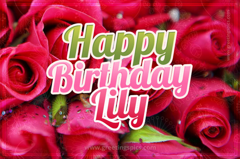 Happy Birthday Lily beautiful Image with red roses