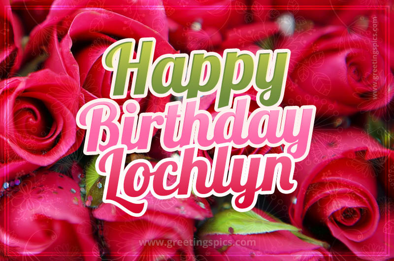 Happy Birthday Lochlyn beautiful Image with red roses