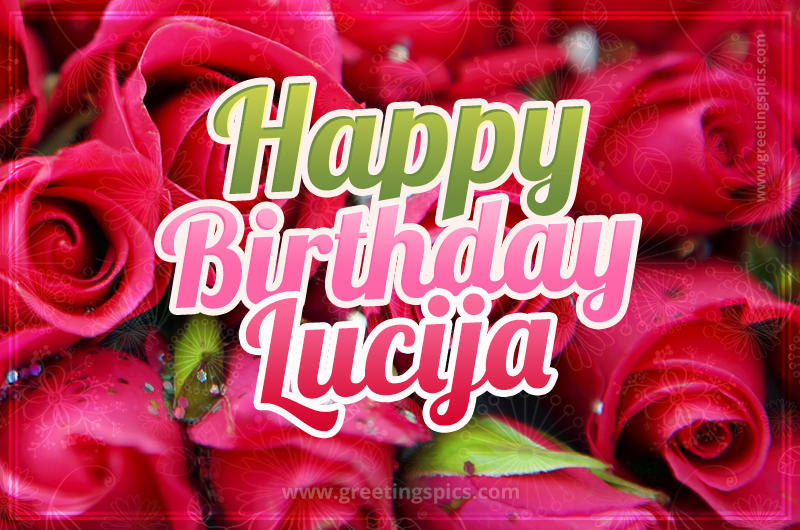 Happy Birthday Lucija beautiful Image with red roses