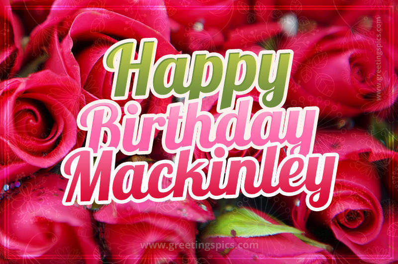 Happy Birthday Mackinley beautiful Image with red roses