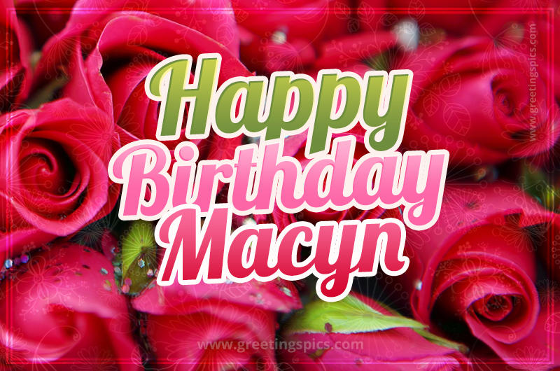 Happy Birthday Macyn beautiful Image with red roses