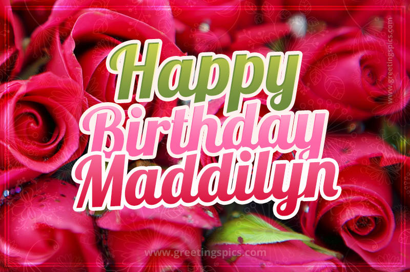 Happy Birthday Maddilyn beautiful Image with red roses