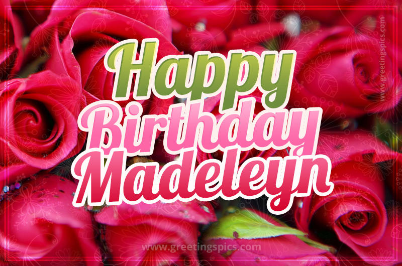 Happy Birthday Madeleyn beautiful Image with red roses