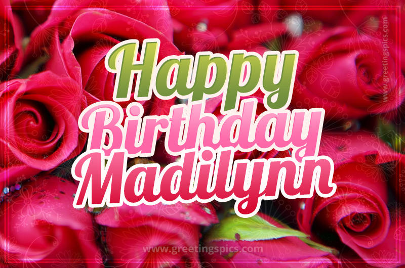 Happy Birthday Madilynn beautiful Image with red roses