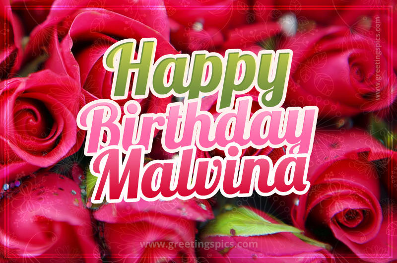 Happy Birthday Malvina beautiful Image with red roses