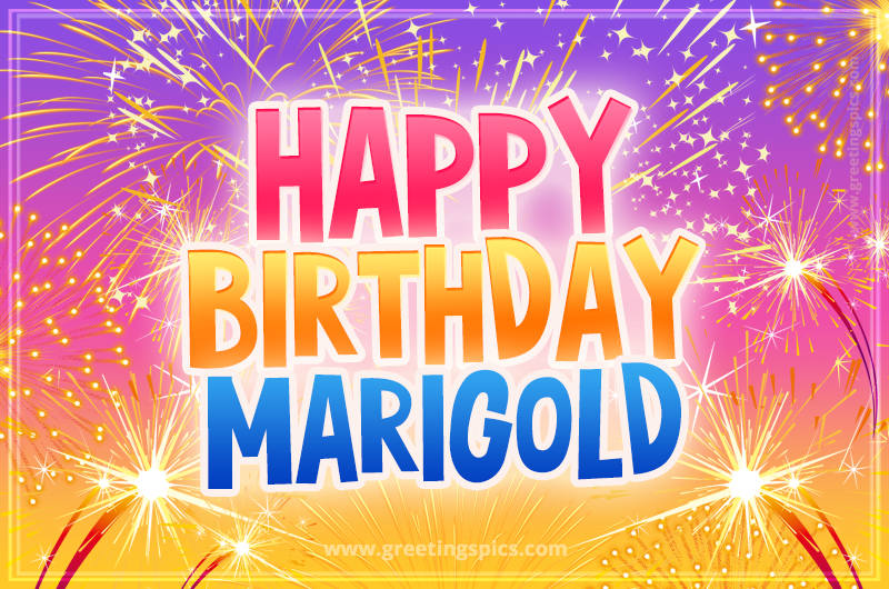 Happy Birthday Marigold Picture with fireworks