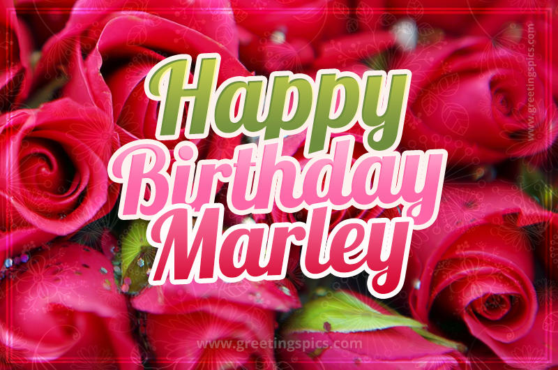 Happy Birthday Marley beautiful Image with red roses