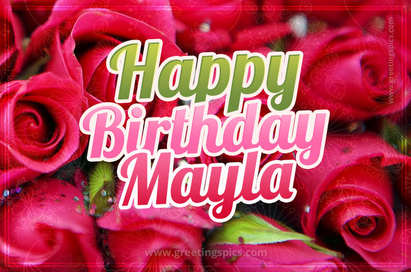 Happy Birthday Mayla beautiful Image with red roses