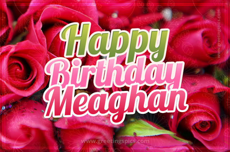 Happy Birthday Meaghan beautiful Image with red roses