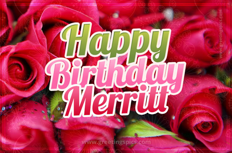 Happy Birthday Merritt beautiful Image with red roses